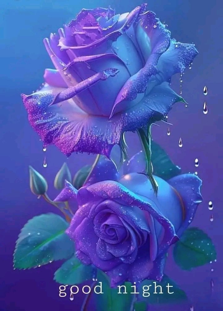 Liliana Karrum (@karrumliliana) on Twitter photo 