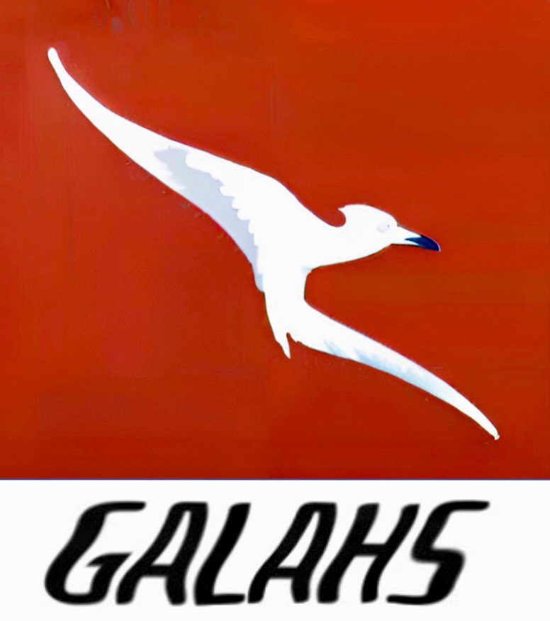 Kate E. Daly tweet media