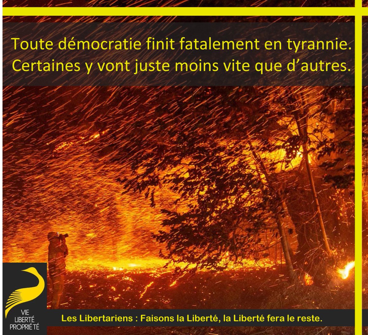 Stéphane Geyres tweet media