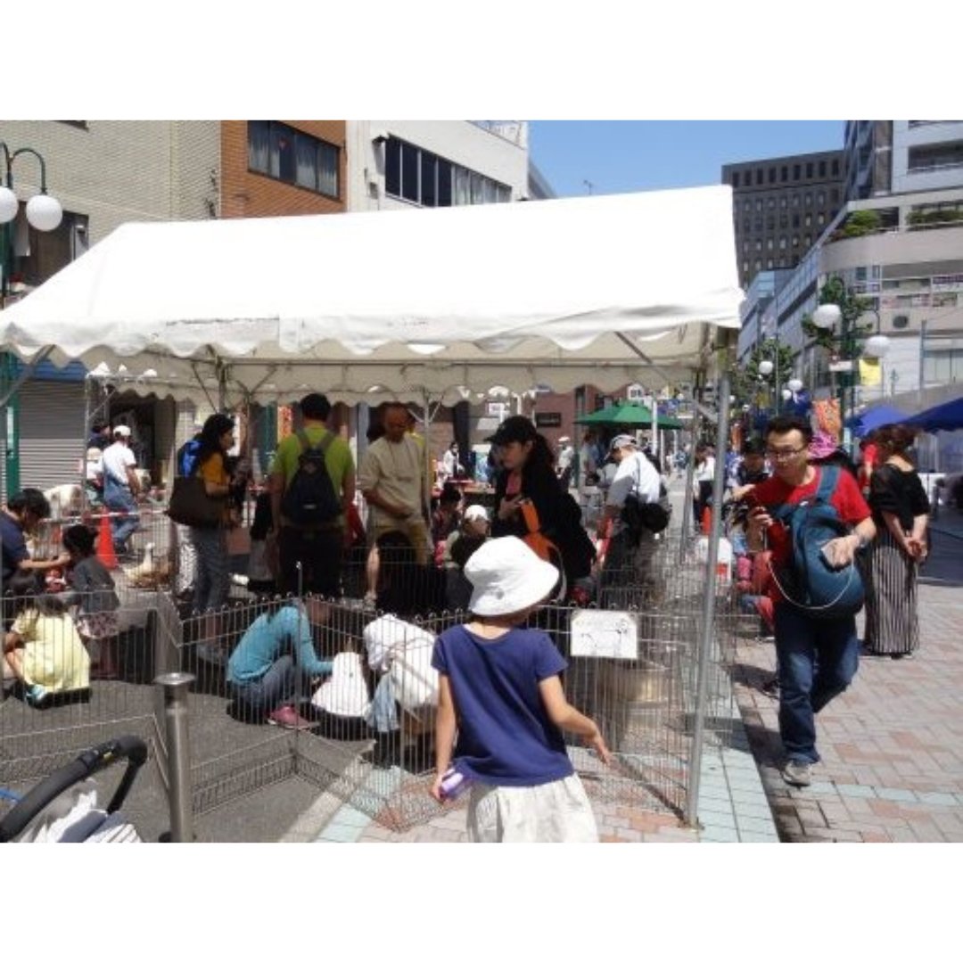 The Kawasaki Asian Festa will be held at the shopping streets and the business area nearby Kawasaki Station 👏
Kawasaki Asian Festa บนถนนช้อปปิ้ง ใกล้ๆ กับสถานีรถไฟคาวาซากิ 👏

#discoverkawasaki #visitkawasaki #japan #festival #คาวาซากิ #ท่องเที่ยว #เทศกาล