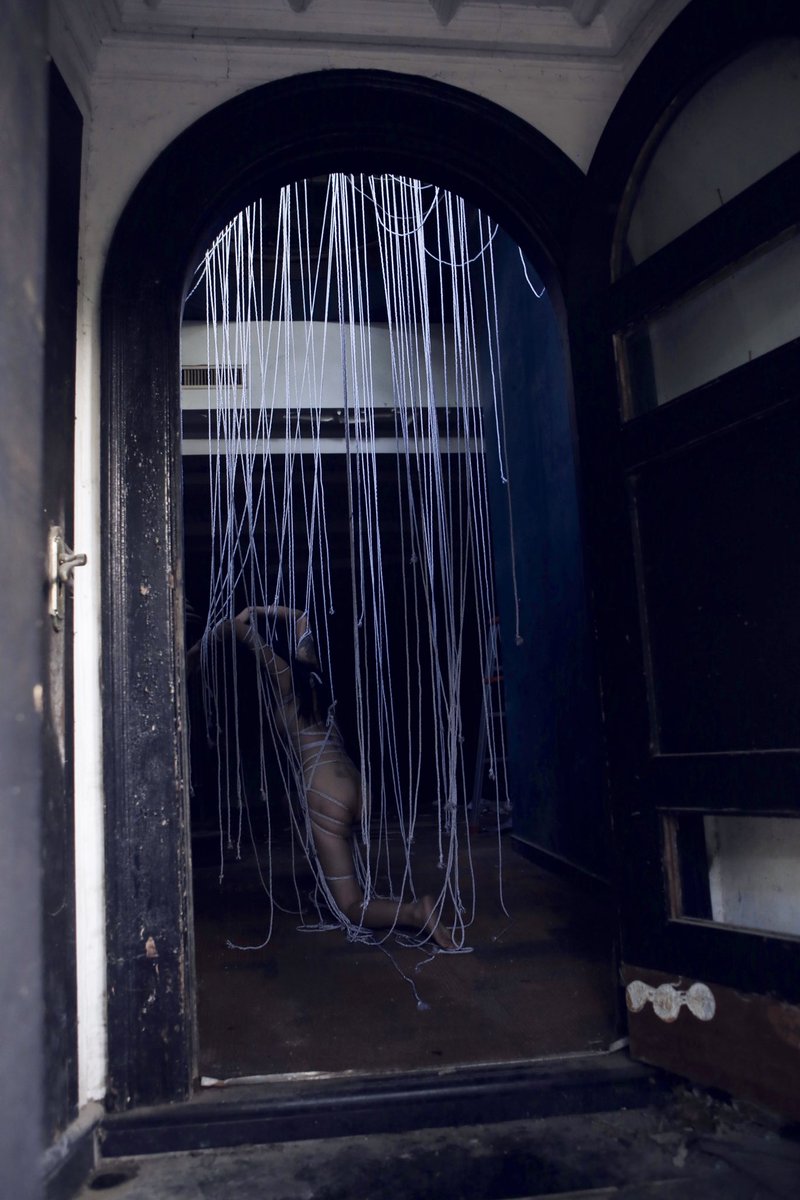 Mosaic cat_maomao tweet media