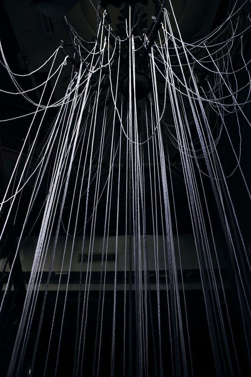 Mosaic cat_maomao tweet media