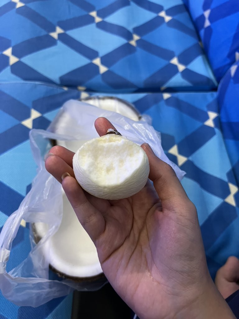 secretlyfura's tweet photo. Lastnight was the first time I had “tombong kelapa”. 

Betul lah orang kata, memang sedap. The smaller, the better. Texture macam sponge, rasa creamy milky. Its so weird yet good!!😭❤️ Have you ever eaten this? https://t.co/FYs6DZZrzY