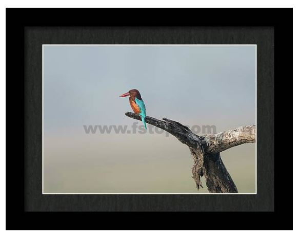 Puttaswamy Ravishankar tweet media