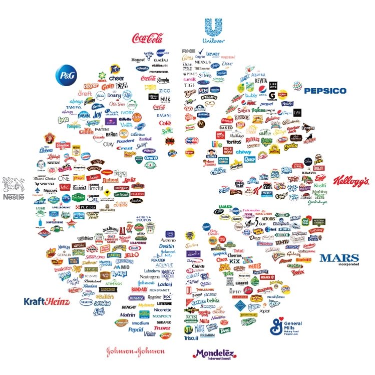 FluentInFinance's tweet photo. 11 companies that own everything: https://t.co/vu2h9UGPvz