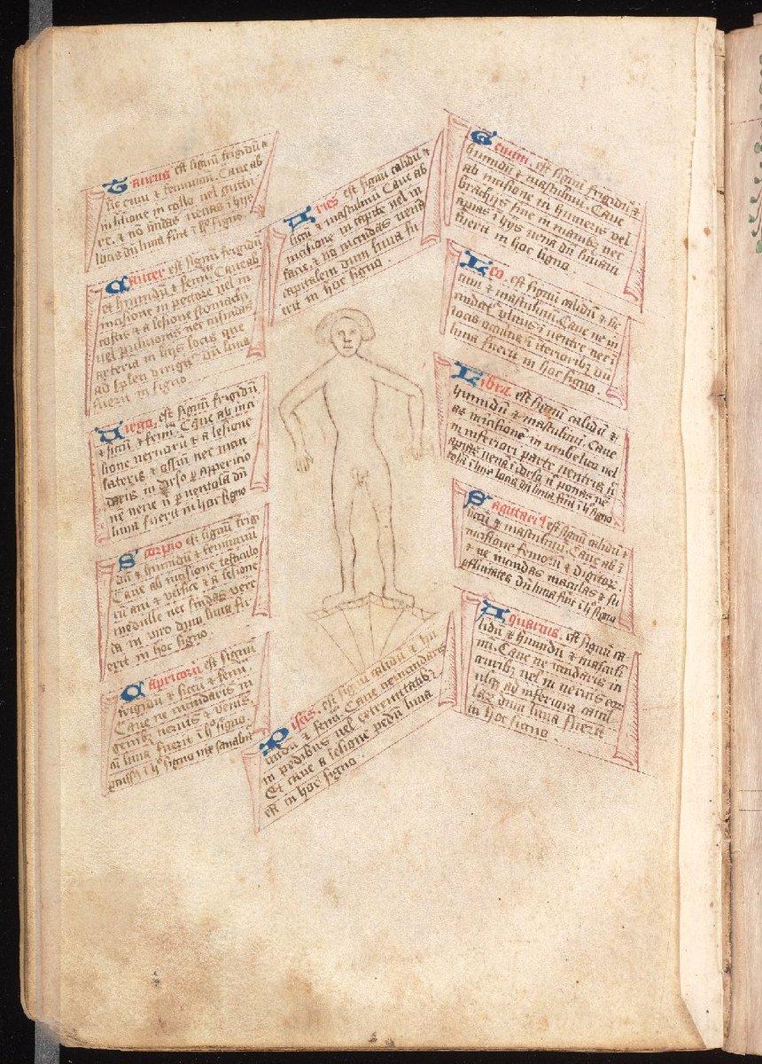 BeineckeLibrary's tweet image. Secretum secretorum.
MORE: bit.ly/3tPtVh8
Lydgate's + Burgh's Middle English trans of 12th century Latin treatise Secretum Secretorum, itself trans of Kitab sirr al-asrar. Also prose pieces, one w/ illustrated diagrams + a Latin tract on interpretation of dreams