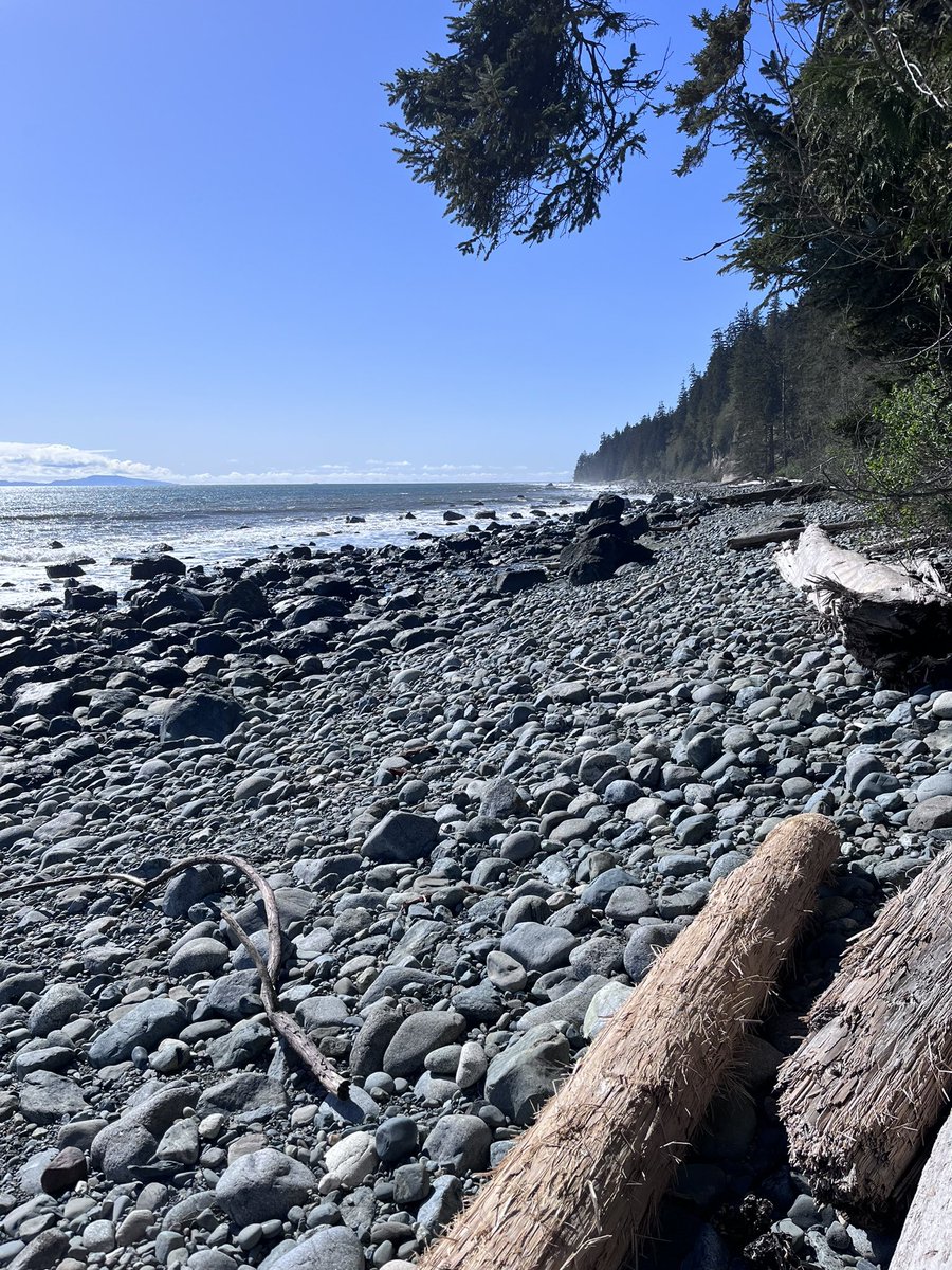 HappySAHD tweet media