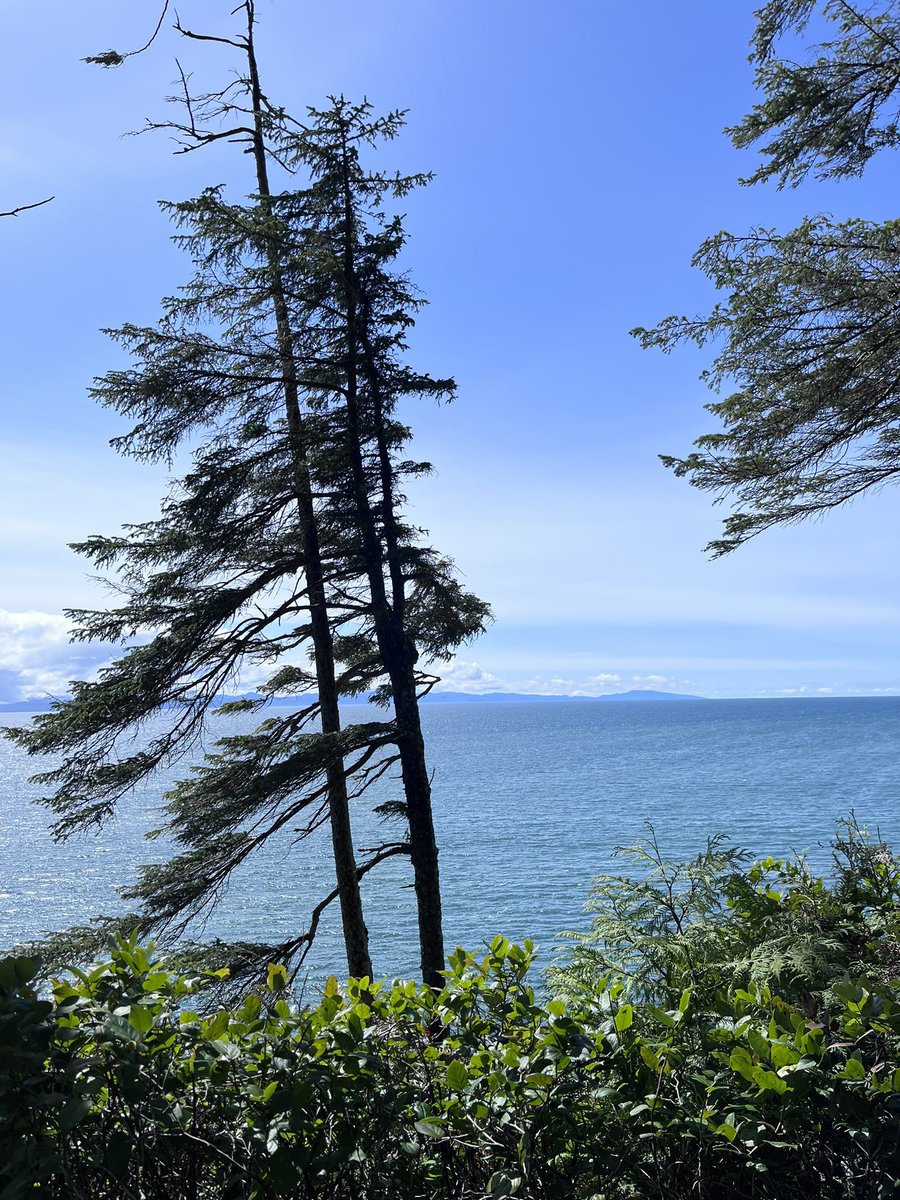 HappySAHD tweet media