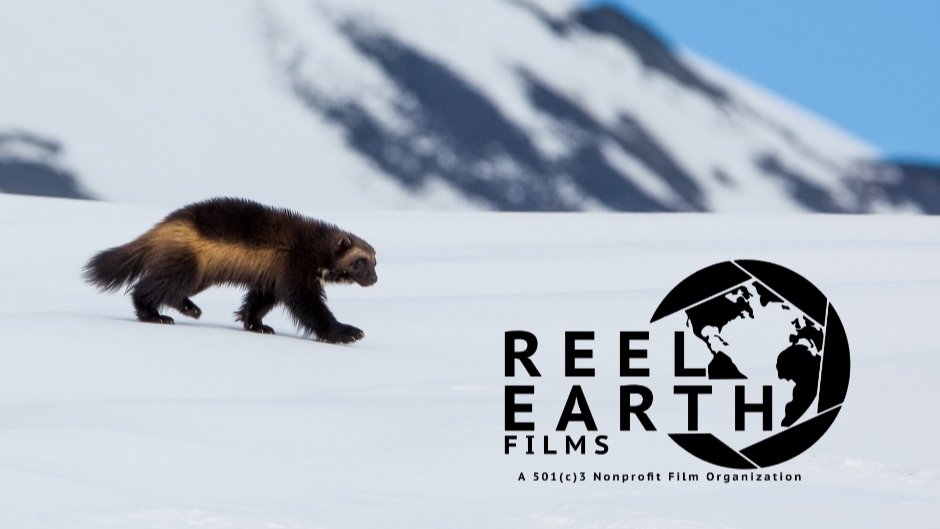 Reel Earth Films tweet media