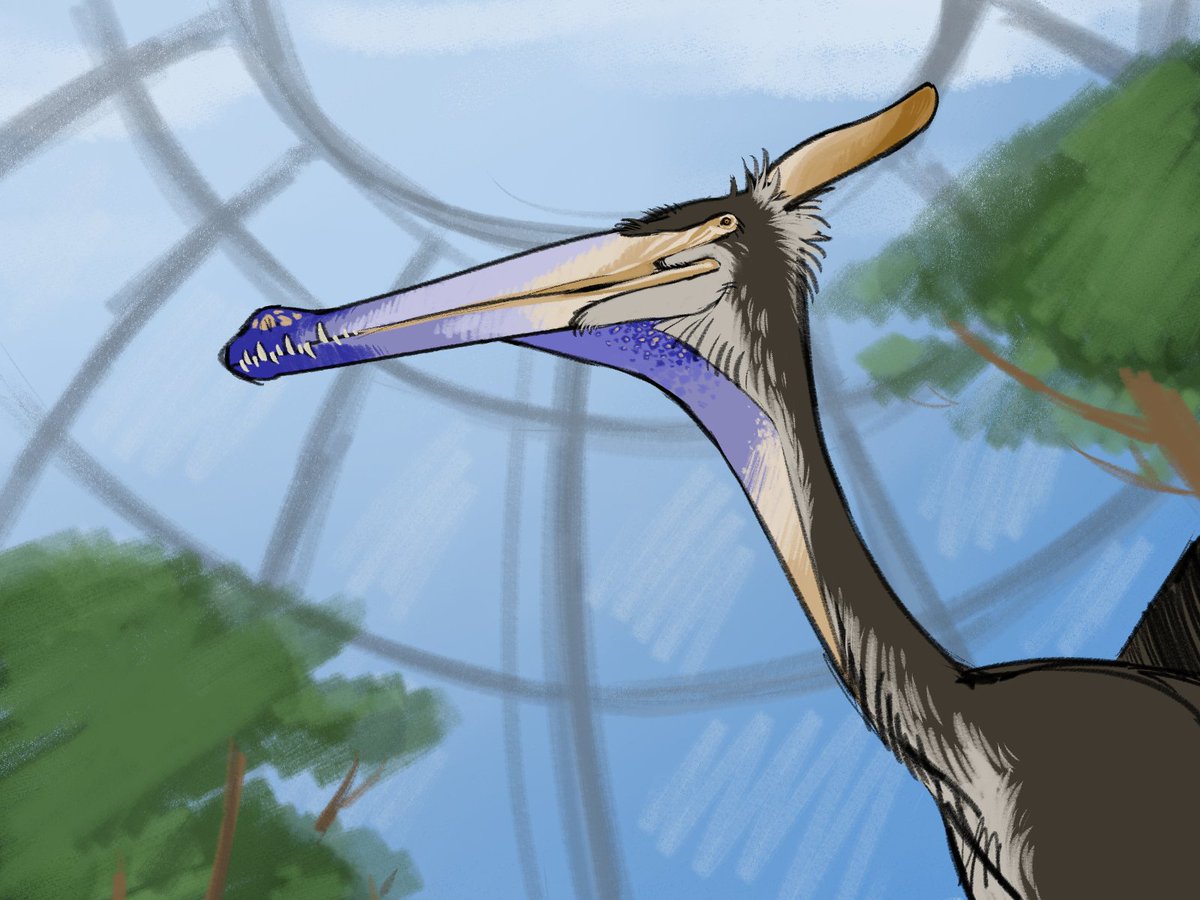 hellu_helli's tweet photo. Moganopterus was a strange pterosaur. This creature didn't just have a very long head but also a very long neck. Here is a male showing off his beautiful blue colours to try and attract some females 
#pterosaur #moganopterus #paleoart #digitalart https://t.co/SVMappQbOV