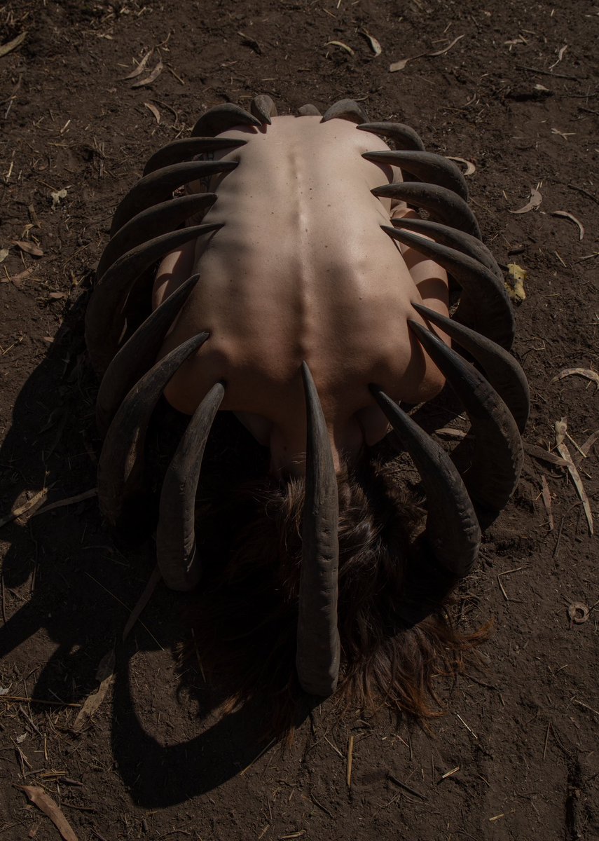 gogogee_'s tweet image. 🦬 
🤎

1. @VioletBondArt 
2. @Glariix 

#nftcuration