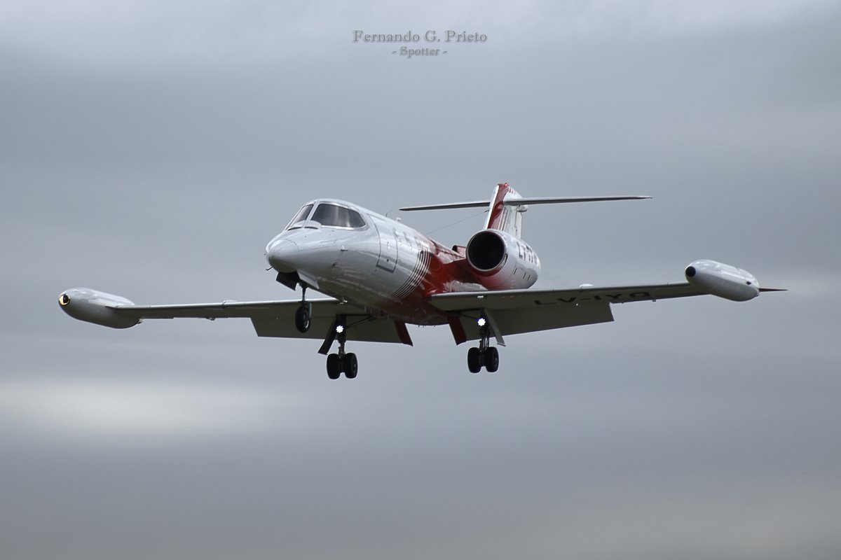 Fernando G. Prieto tweet media