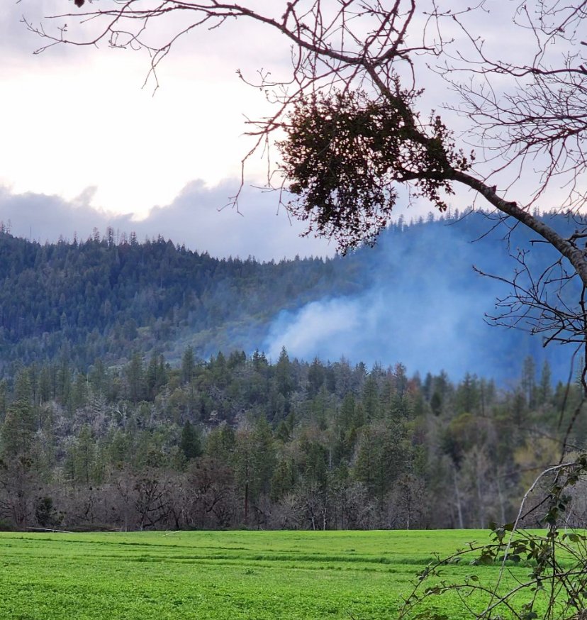 swofire's tweet photo. 𝗙𝗜𝗥𝗦𝗧 𝗙𝗜𝗥𝗘𝗦 𝗢𝗙 𝟮𝟬𝟮𝟯: The ODF Southwest Oregon District responded to its first three fires of the year today. All were caught at small sizes and are extinguished. Warm weather this week means increased fire risk! More info --> https://t.co/P3dZax7Ybr https://t.co/TrF4Y3VCTF