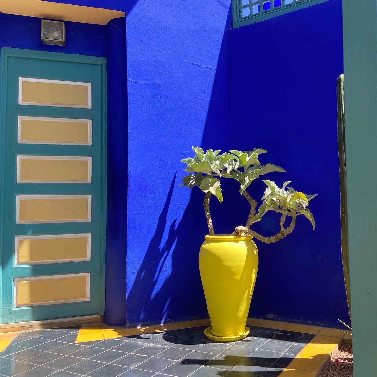 Linda Cabasin tweet media