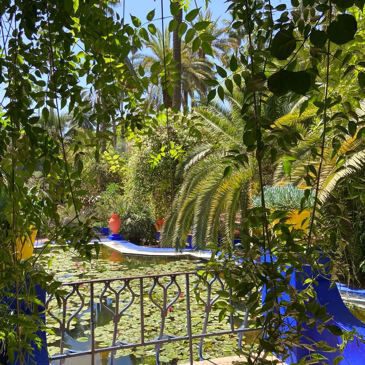 Linda Cabasin tweet media