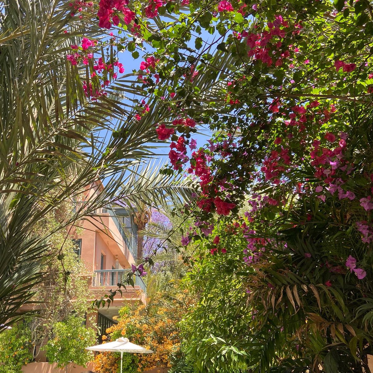 Linda Cabasin tweet media