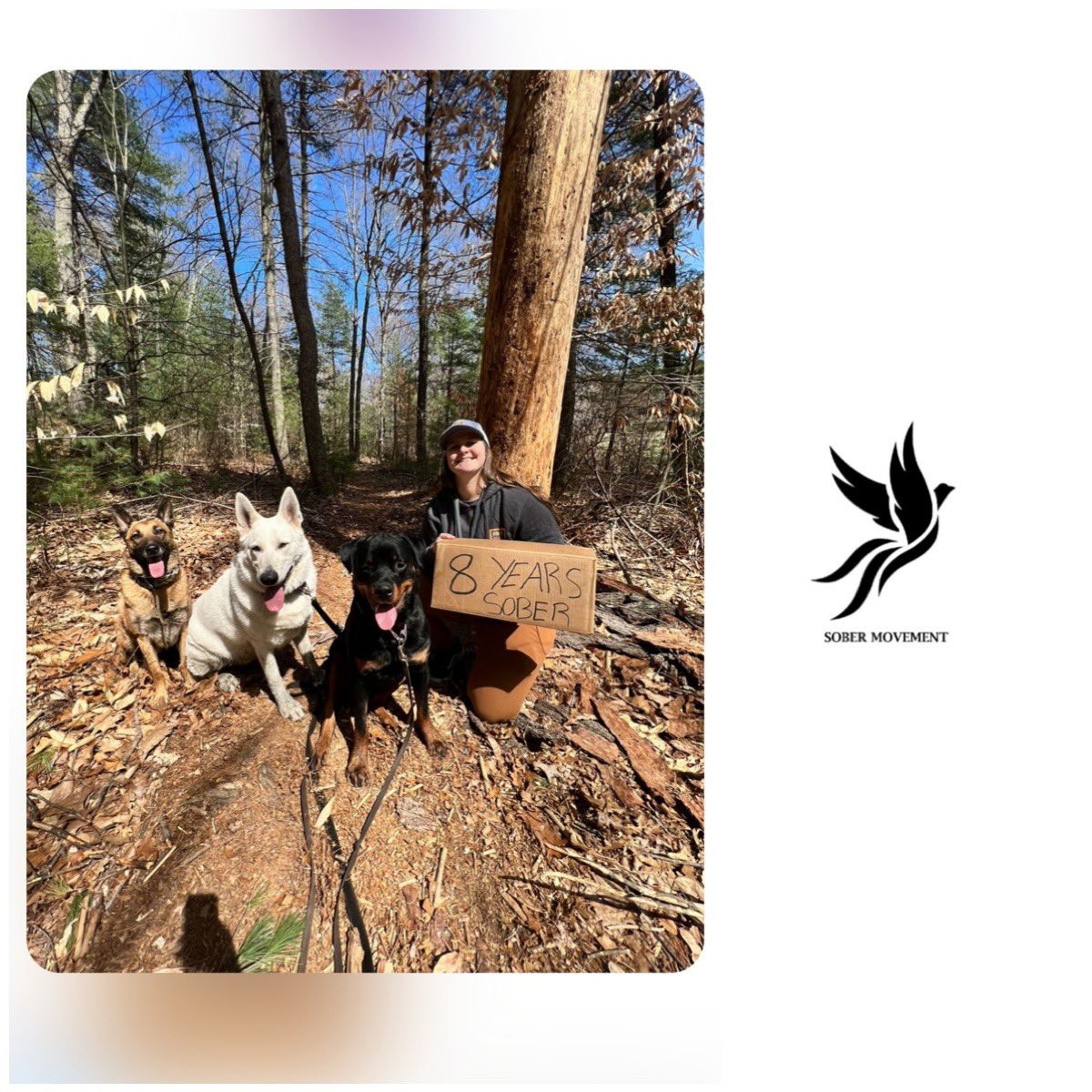 Sober Movement tweet media