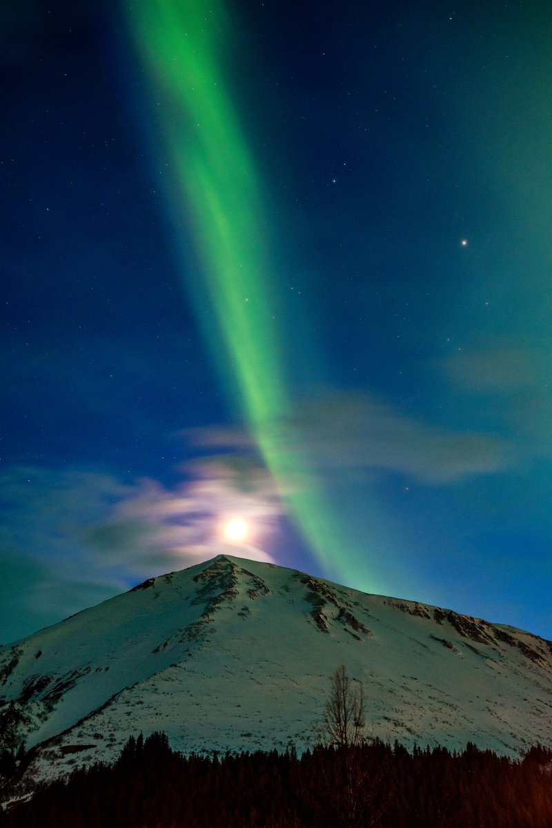 A streaker over Race Point in Seward last night. #seward #alaska #AuroraBorealis #northenlights