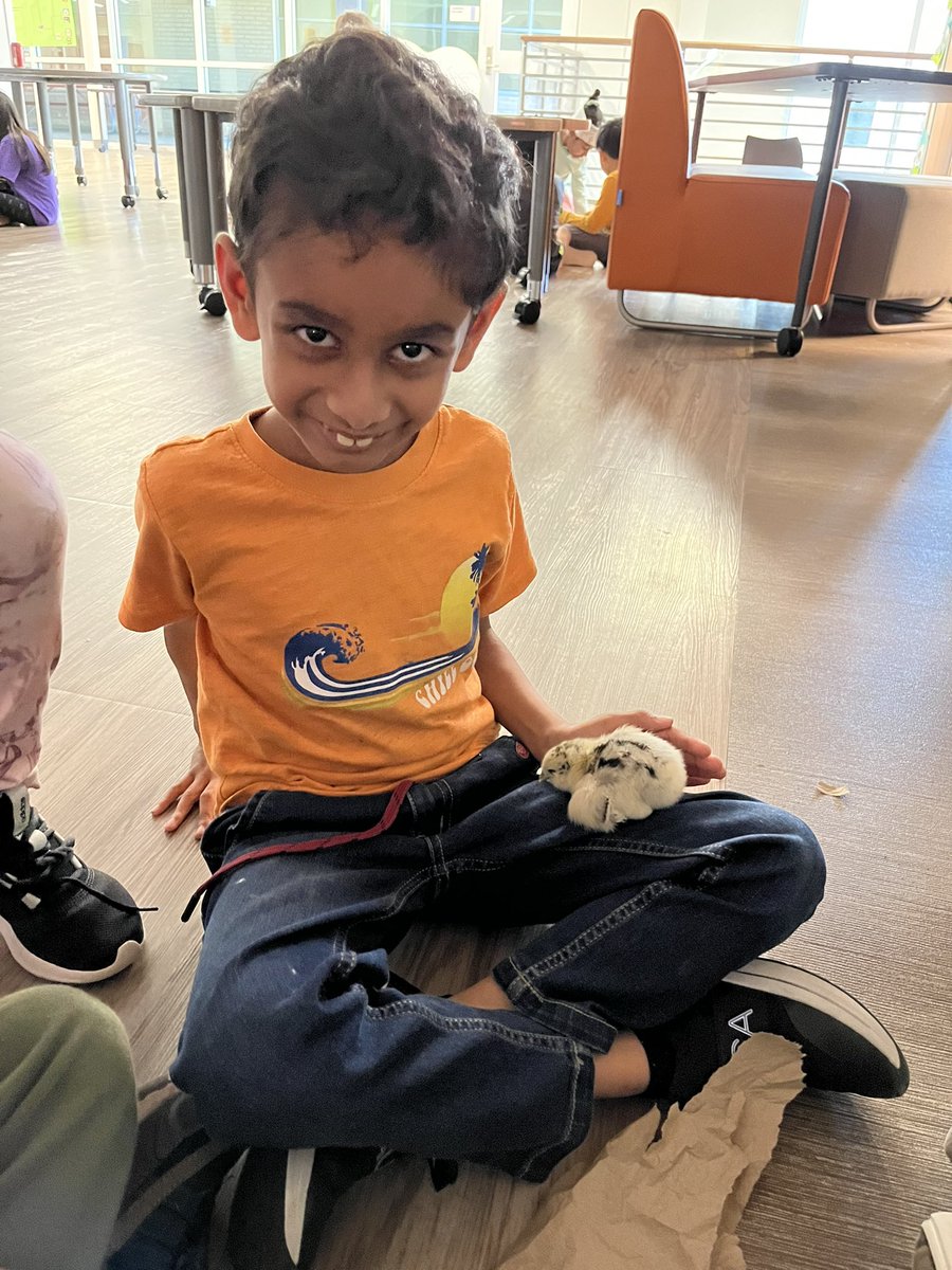 Ms_Weir_'s tweet photo. On Friday, we celebrated animal day!  We said goodbye to the chicks 🐥, but also got to meet a friendly kangaroo 🦘 https://t.co/OsKbSQvxGz