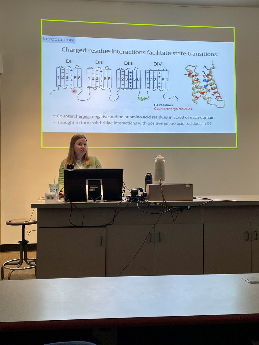 Time for my first personal post on science Twitter: two weeks ago, I (successfully) defended my master’s thesis titled “Functional roles of SCN2A countercharge mutations in developmental epileptic encephalopathy” 🧠