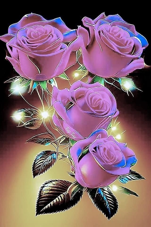 🇮🇶🇮🇶 Haider Ali 🇮🇶🇮🇶 tweet media