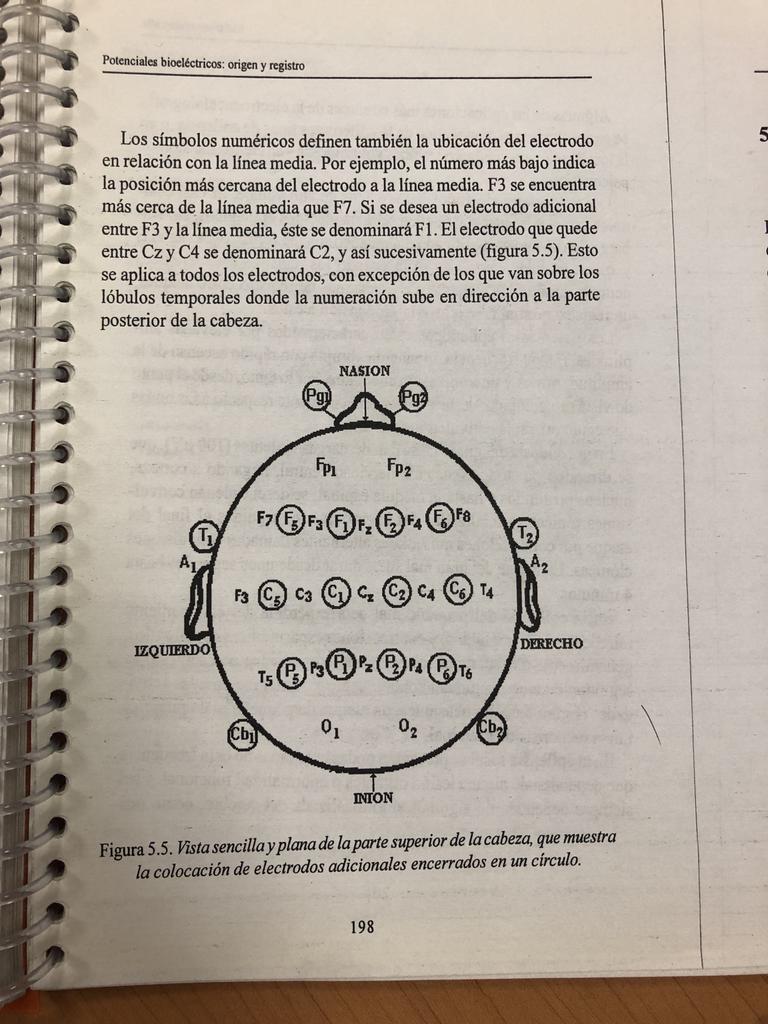 AlumnosMx's tweet photo. Imágenes clase EEG https://t.co/8meG0GZe6g