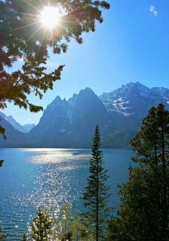 Never give up on a dream because of the time it will take to accomplish it. The time will pass anyway.
Good morning beautiful souls ❣️