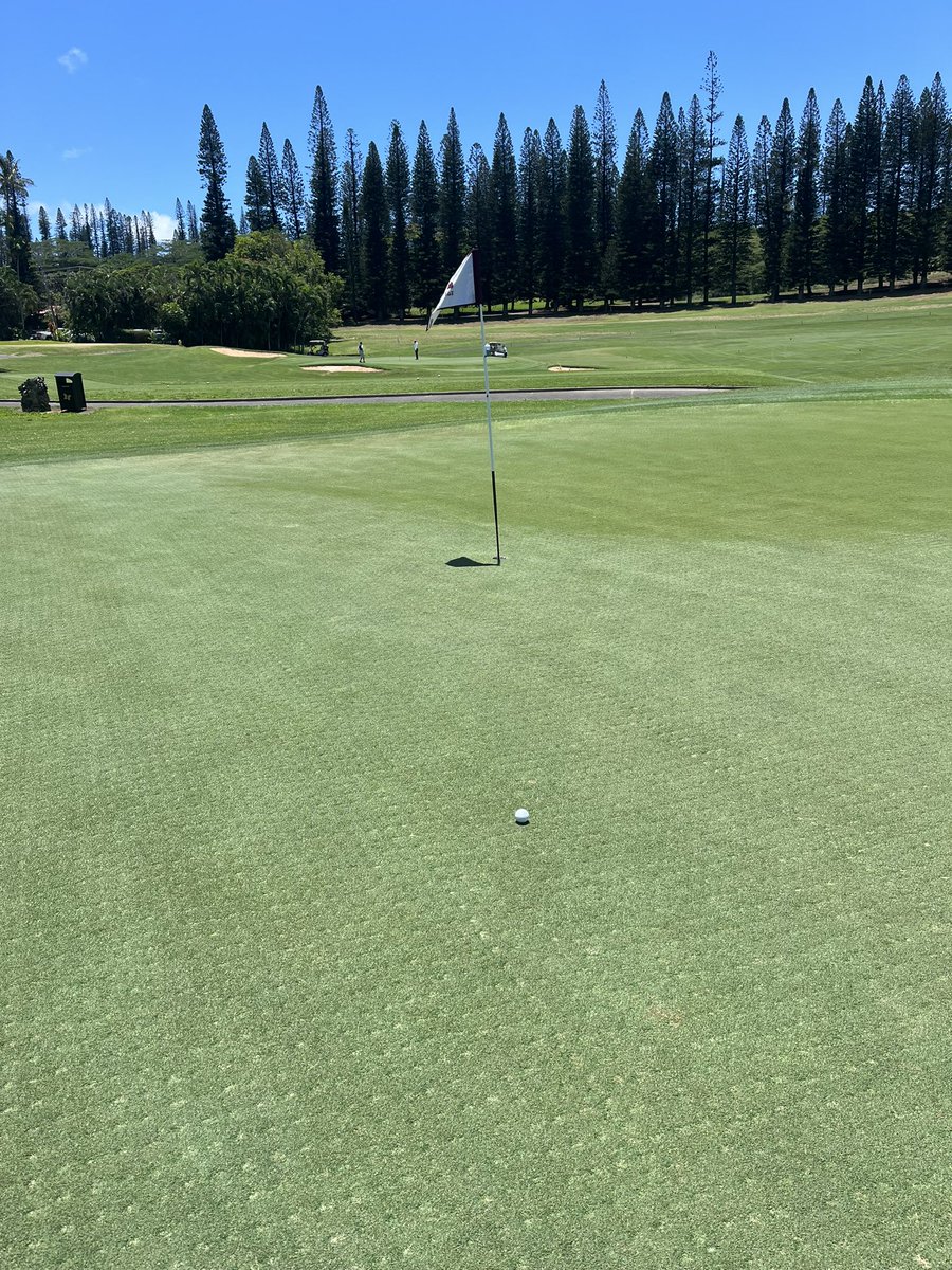 mark_merc27's tweet photo. Kapalua bay course this morning on beautiful Maui. Made this 12 ft putt for eagle on #18. Maui is the best! #Funinthesun https://t.co/na1eAkCgRj