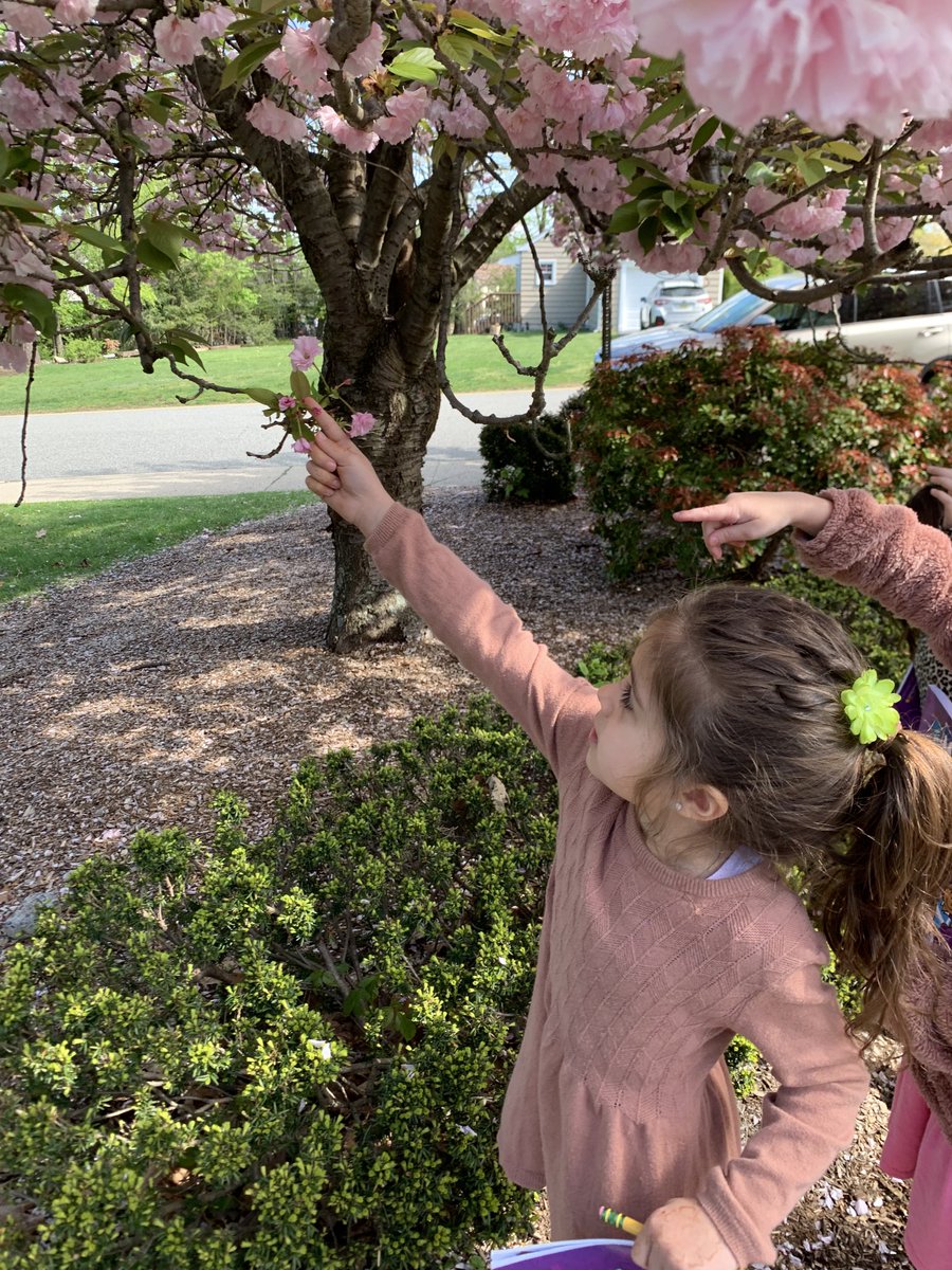 Jayne Ramirez tweet media