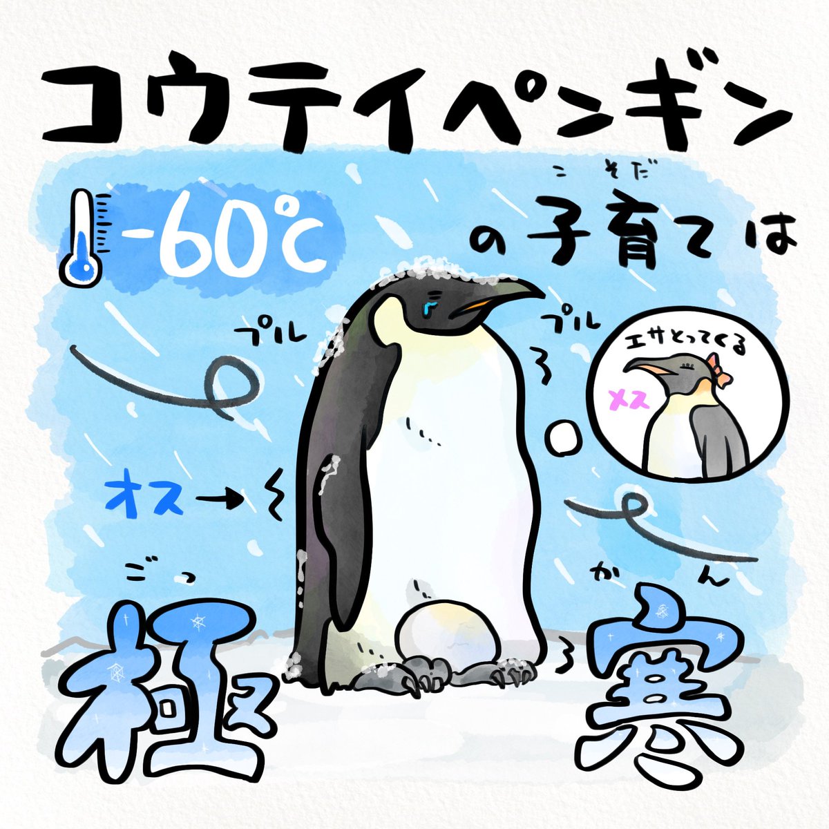 コウテイペンギンは命懸けの子育てをする #世界ペンギンの日