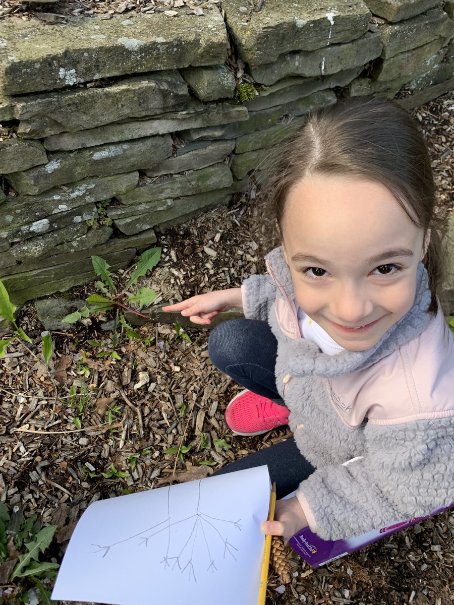 Jayne Ramirez tweet media