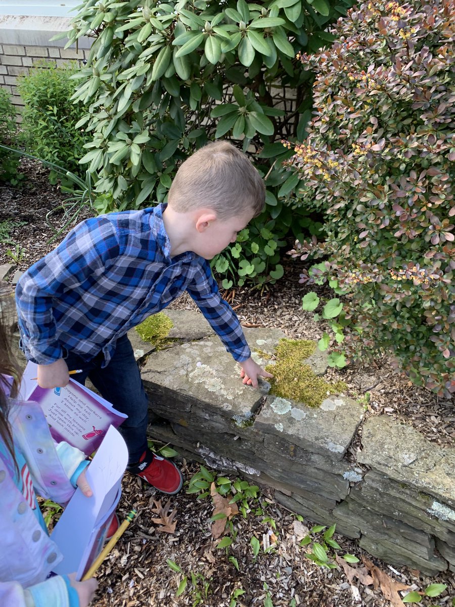 Jayne Ramirez tweet media