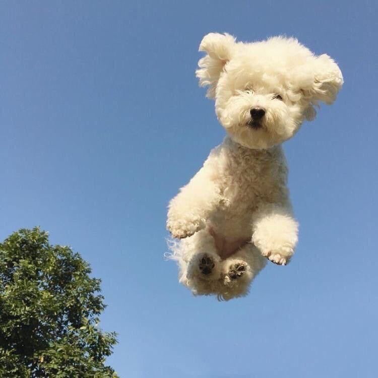 twaniimals's tweet image. 