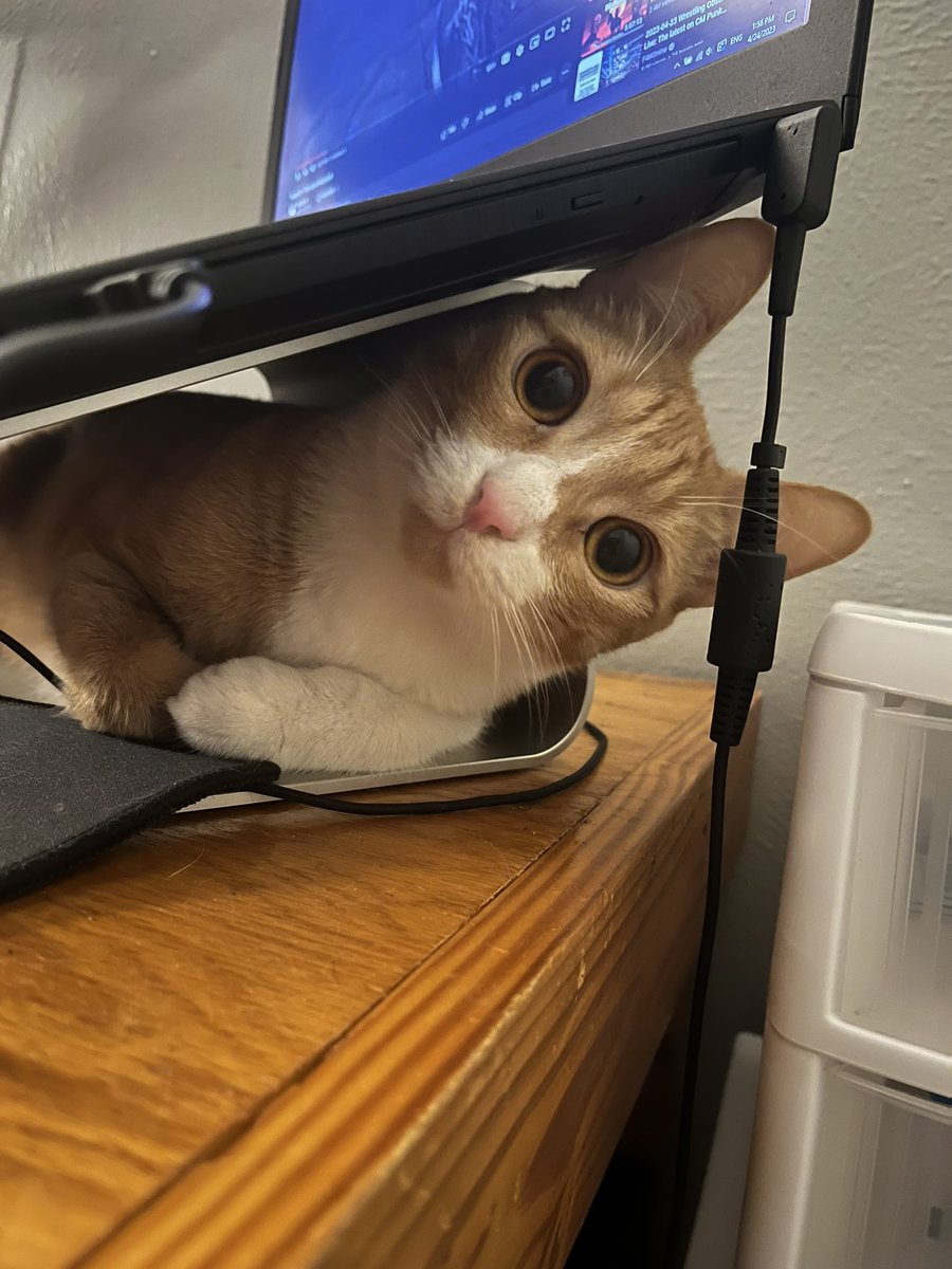 This boy is so silly and full of whimsy