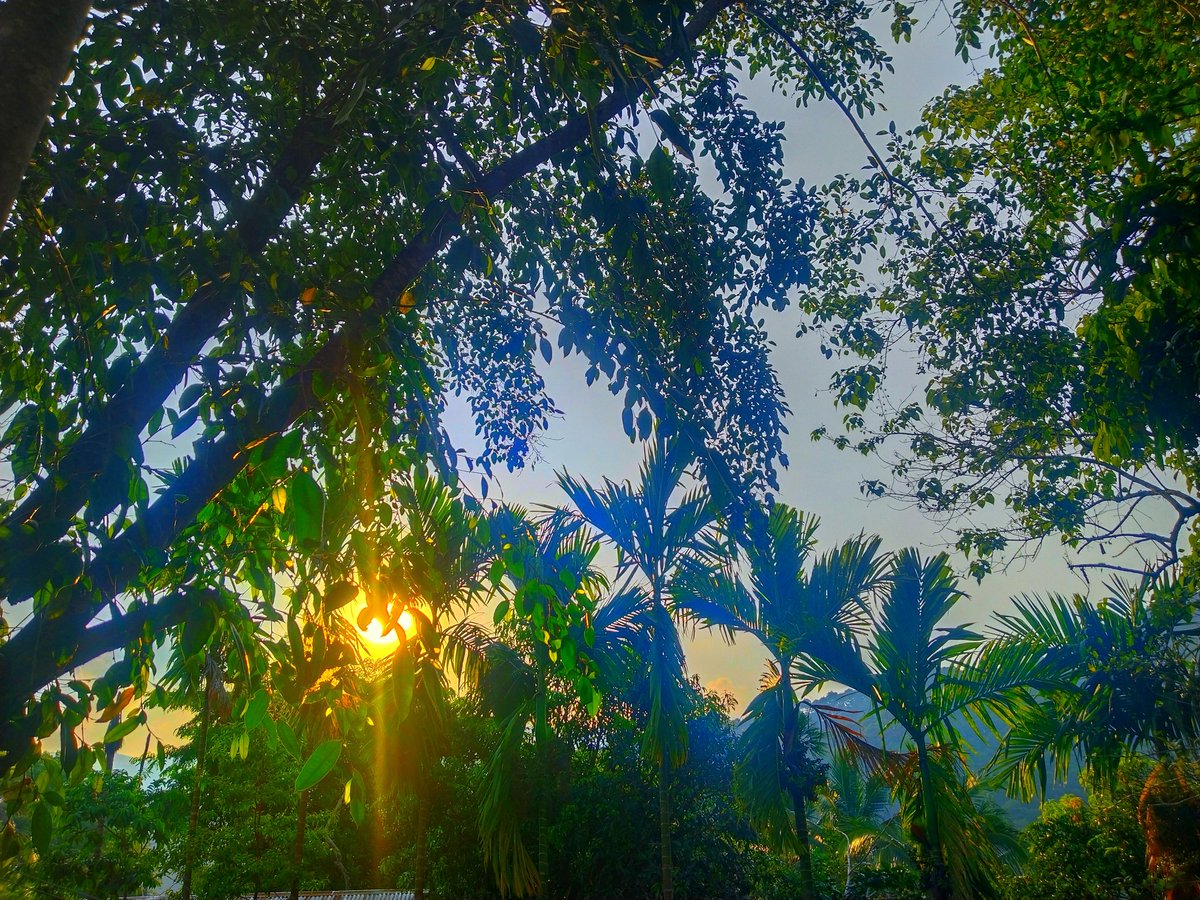 "A flower cannot blossom without sunshine, and man cannot live without love."
#naturelover #naturephotography #natureheals