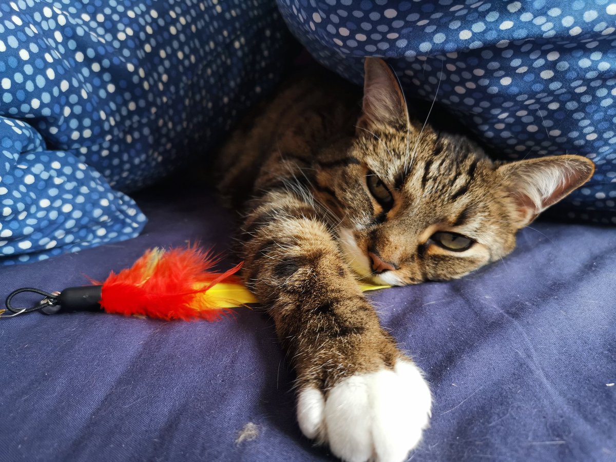 Valrofen tweet media