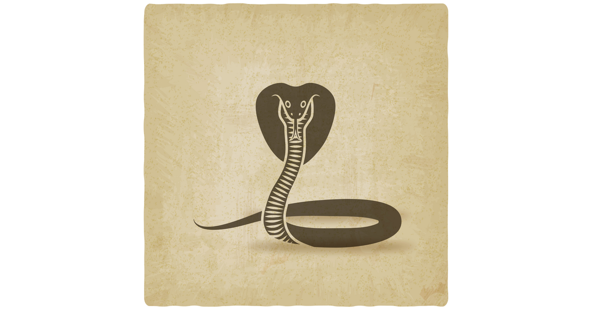 NatBasil's tweet image. Latest Vector @VectorStock cobra with spread hood #VectorStock vs2.page.link/EUVe