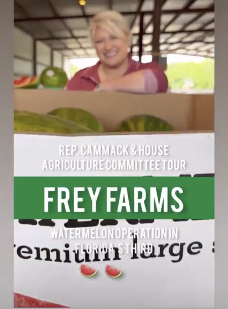realsarahfrey's tweet photo. We had a special guest today in our Florida Warehouse to try our delicious and freshly picked #watermelons. @RepKatCammack Thanks for visiting with us and supporting #agriculture in the Third and #familyfarms. #FloridaProduce #FloridaWatermelons https://t.co/KdW9P9dcem