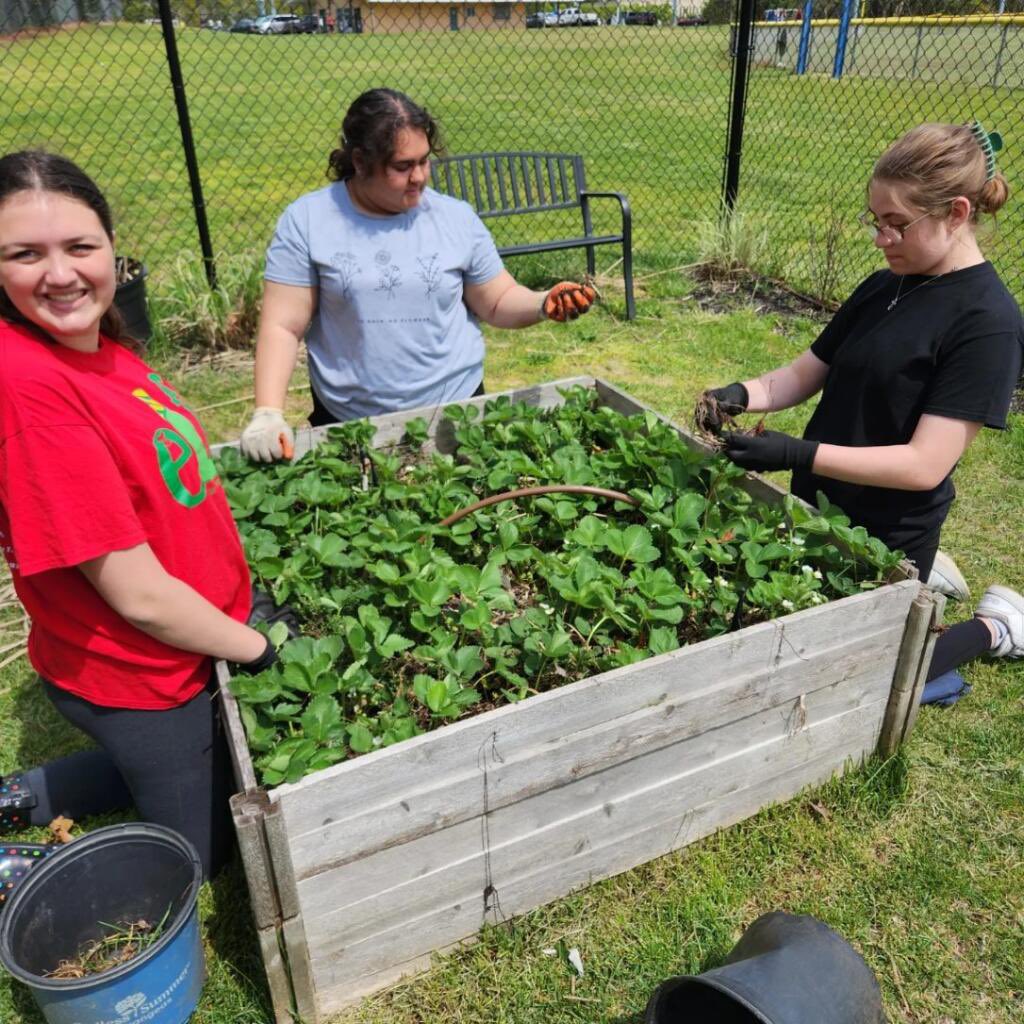 one_county's tweet photo. The garden beds at our Common Grounds community garden are almost ready for planting thanks to the hard work of local Girl Scout Troop 61. https://t.co/VvAoifPsOC