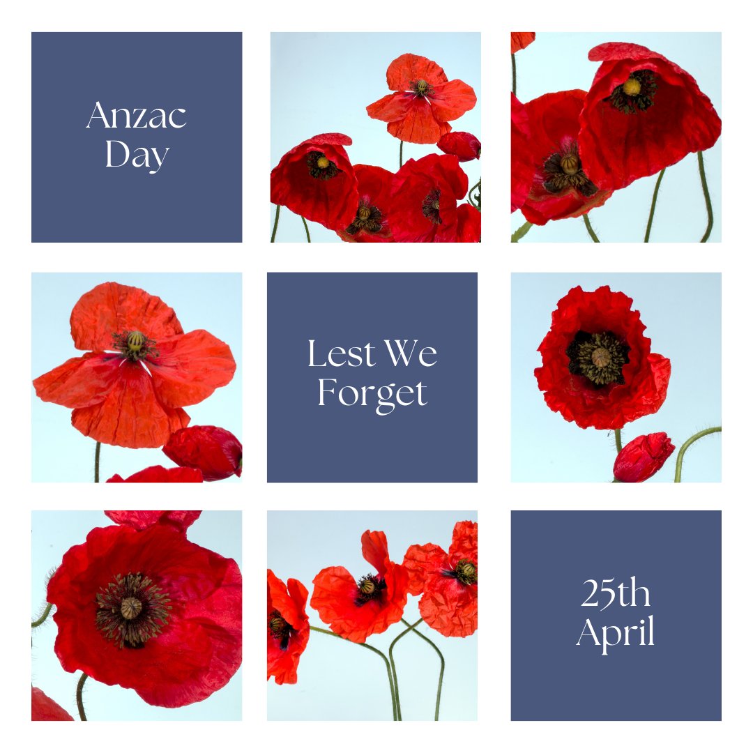 Work_Visa's tweet photo. Happy Anzac Day! From our Work Visa Lawyers Team!
#ImmigrationLaw #ImmigrationAu #Immigrants #WorkVisa #SponsorVisa #Visa491 #GlobalTalentVisa #Visa858 #PermanentResidency #GetPR #AutraliaPR #Visaprocess #Visa application #AnzacDay https://t.co/EJktOCBpGN