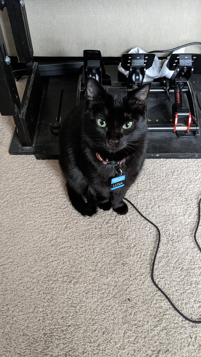 Starting a little late, but stream kicking off with some racing! Also our new 
<a href="/PawsYourGame/">🎮 Paws Your Game 🐾</a> campaign is underway! 

Luna says you should donate to help pets in need.

twitch.tv/nihontiger