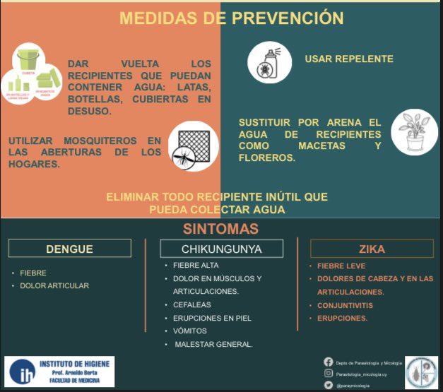 paraymicologia's tweet photo. Frente la situación epidemiológica de brote de dengue en Buenos Aires, Argentina y los casos autóctonos de Chikungunya en nuestro país compartimos información de interés! 
#Aedesaegypti #dengue #chikungunya #zikavirus @medica_uy @Infectologia_uy @MedPrevySoc @InstitutodeHig1 https://t.co/9hJhH6Z9le