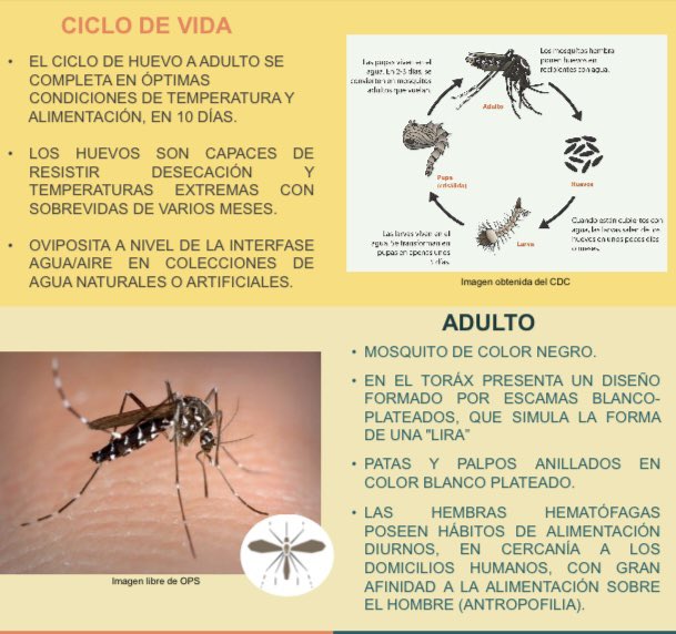 paraymicologia's tweet photo. Frente la situación epidemiológica de brote de dengue en Buenos Aires, Argentina y los casos autóctonos de Chikungunya en nuestro país compartimos información de interés! 
#Aedesaegypti #dengue #chikungunya #zikavirus @medica_uy @Infectologia_uy @MedPrevySoc @InstitutodeHig1 https://t.co/9hJhH6Z9le