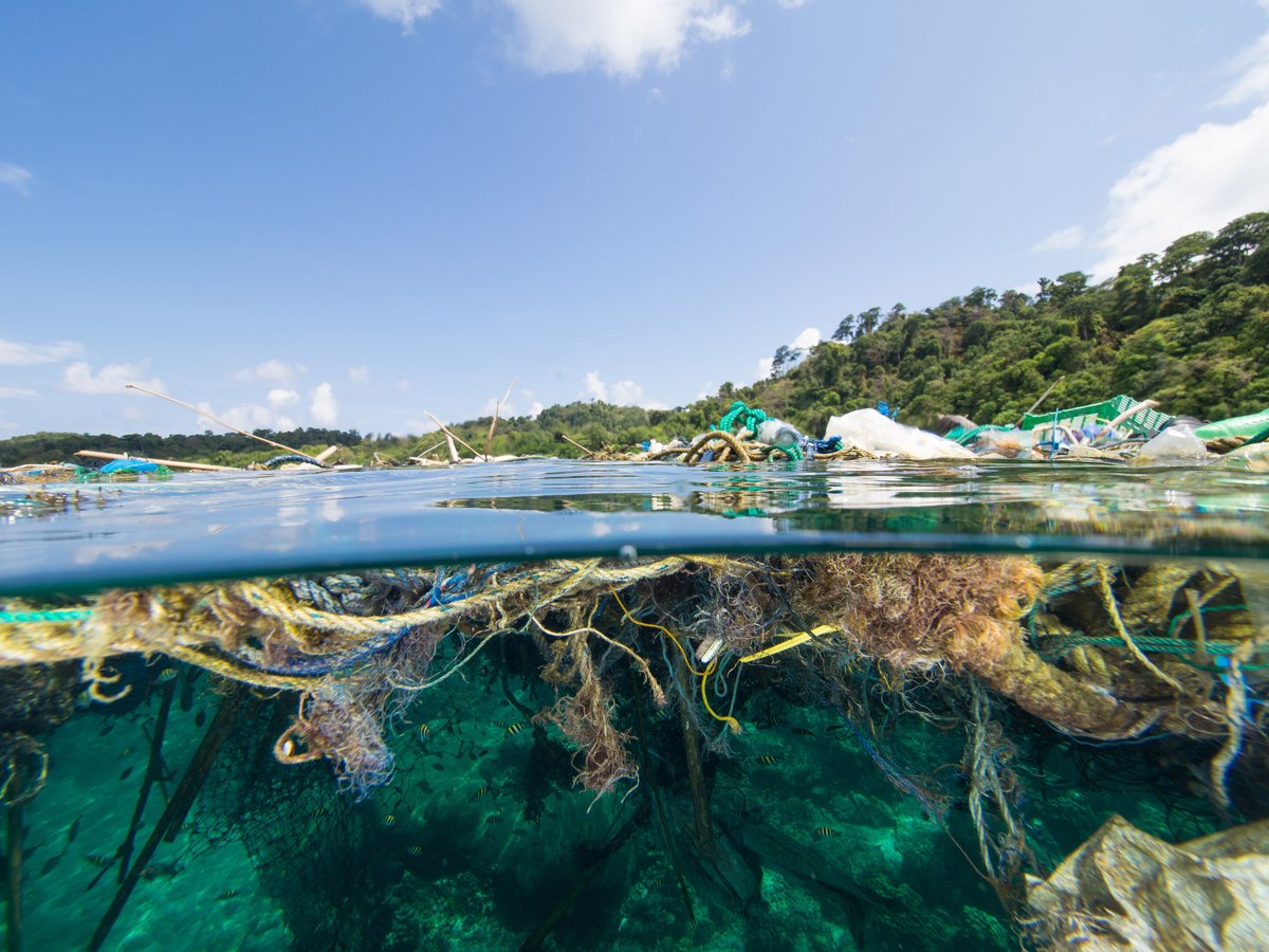 PADI's tweet image. Make a splash for a cause: Take the save the ocean pledge with PADI and join the global movement to protect our seas 🌊💙 Together, we can make a difference!

Take the save the ocean pledge 👉🏼 padi.co/ku6661 

#LiveUnfiltered