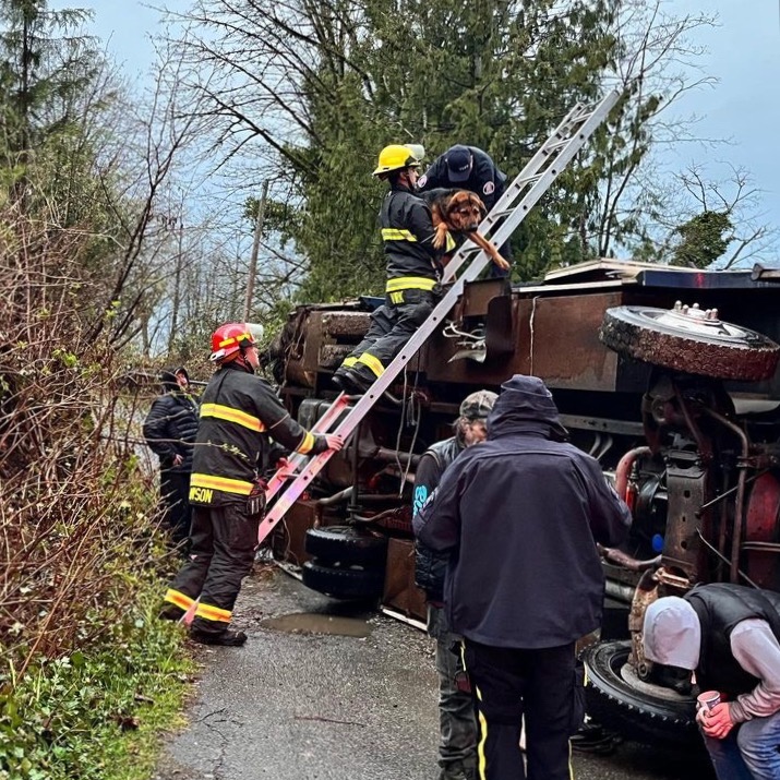 TLFCS's tweet image. We are grateful to @melissacarson03 for documenting our rescue mission last Thursday as we helped a dog from an overturned motorhome.

.
.
.
#helpingcommunity #communitybuilding #buildingcommunitytogether #dogrescue #rescuemission #langleycares