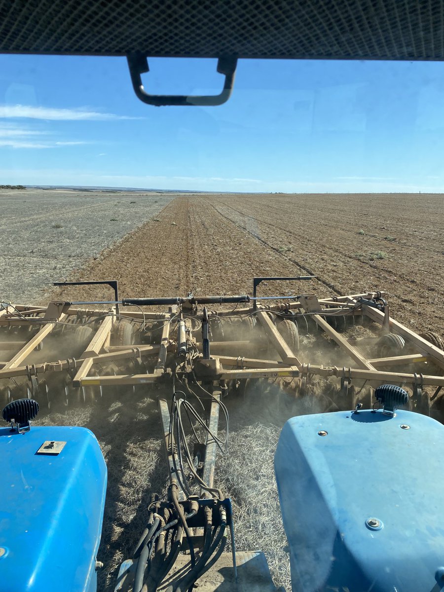 Ashley Butterfield tweet media