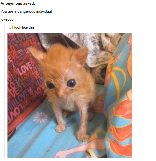 sadmachlne666's tweet image. 🏳️🌈🐅ZENKA/SAD🐅🏳️🌈
1996 HE/SHE GENDERQUEER LESBIAN
=================
🔒🔞(priv twt)🔞🔒
FRIENDS/MUTUALS DM FOR PRIV
=================
❔🐱CuriousCat🐱❔
curiouscat.live/sadmachlne666
=================
✨👉ABOUT ME👈✨
sadmachlne.carrd.co
=================
🔽🧵THREAD CONT'D🧵🔽
