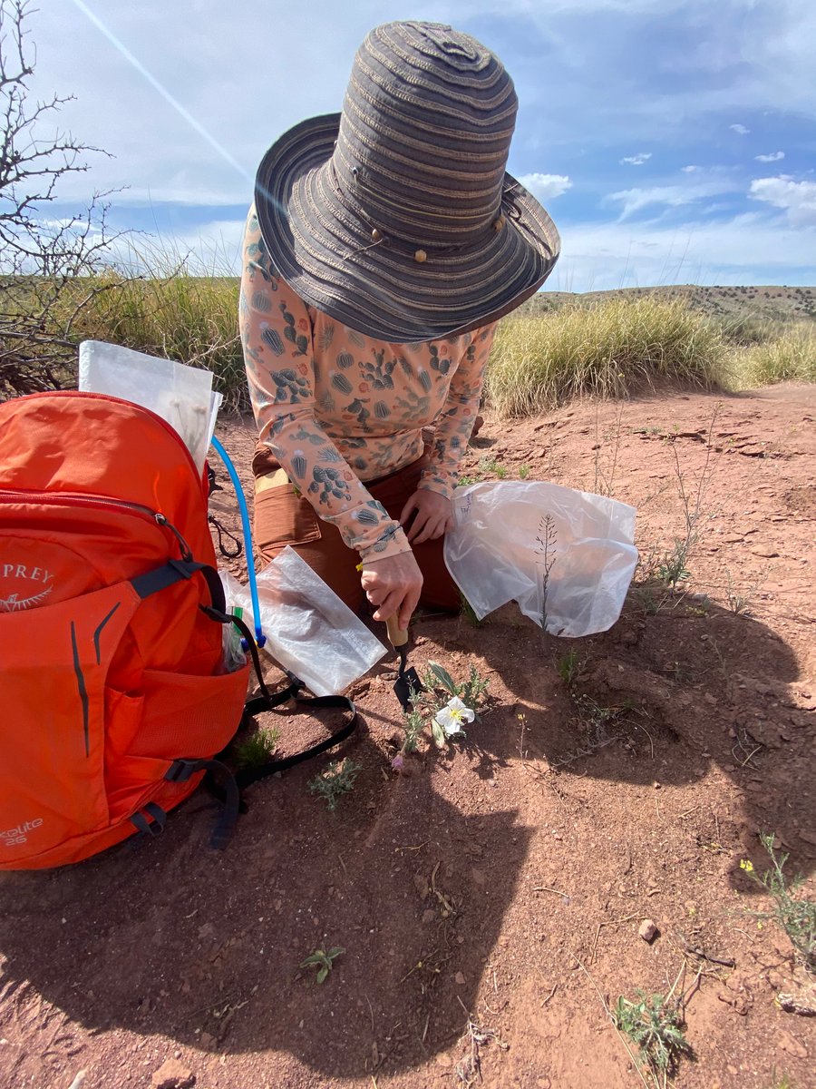 Took my students on a collection trip today to complete the cycle of specimens. I’ve been teaching a botanical diversity &amp; preservation course this semester on top of my CM position. It’s been a ton of work to juggle, but today almost made it all worth it. 🌸