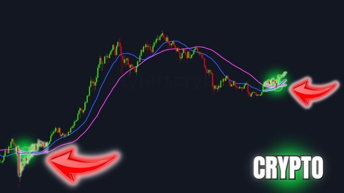 TylerSCrypt0__'s tweet image. PUT ME ON A FARM AND MILK ME BECAUSE I'M SO BULLISH!!!!!!!!!!!!!!!!!

#crypto #btc