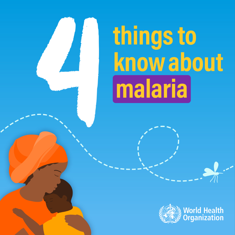 WHO's tweet photo. Today is #WorldMalariaDay.

#Malaria is transmitted through the bites of Anopheles mosquitoes 🦟. Nearly half of the world's population is at risk of malaria.

Here are 4 things you need to know about malaria ⬇️